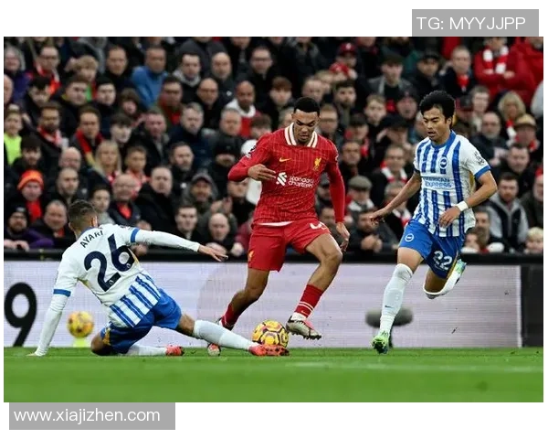 2018年布莱顿对阵利物浦比赛推荐及精彩分析