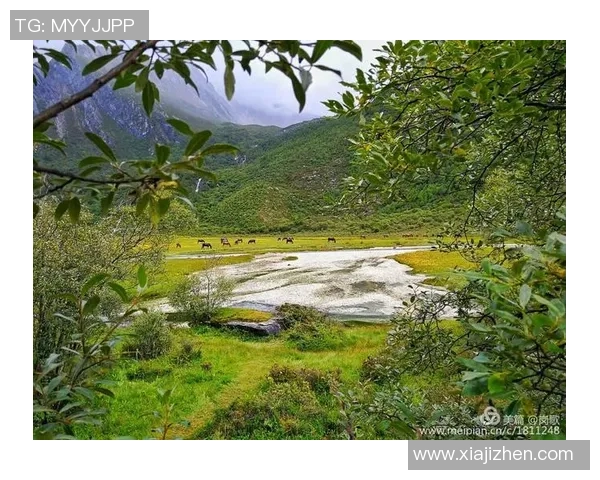 探索阿拉巴的魅力与文化深度体验独特的风土人情与自然景观 探索阿拉巴的魅力与文化深度体验独特的风土人情与自然景观