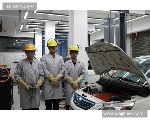 权建与建业在线的全面对比分析及未来发展趋势探讨