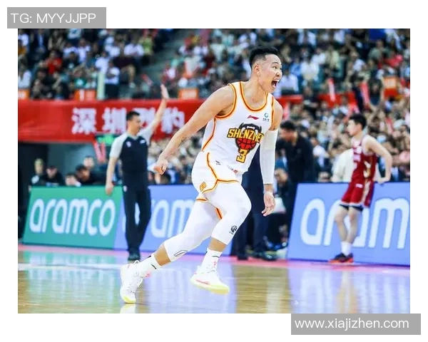 贺希宁：从青年才俊到篮球明星的成长之路与奋斗历程