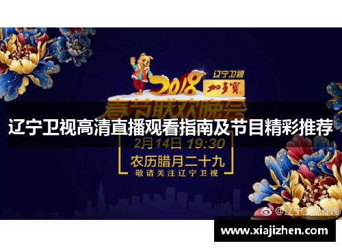 辽宁卫视高清直播观看指南及节目精彩推荐